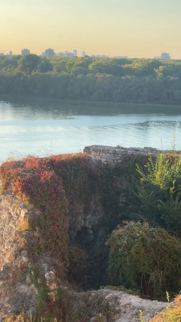 While Mattias and Jonathan hold the fort with the sturgeon project in Gothenburg, Linnéa has travelled to…